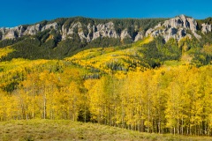 Aspen, Cimarron Ridge Detail