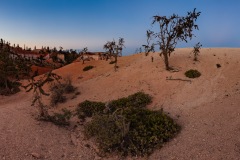 Bryce Canyon Twilight