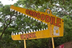 Croc Sign