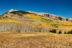 Fall Aspen, Gothic Valley