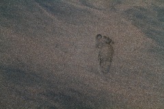 Footprint on Beach