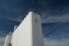 Grain Elevator