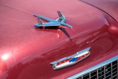 Hood Ornament #3