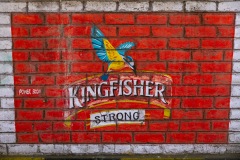 Kingfisher Beer