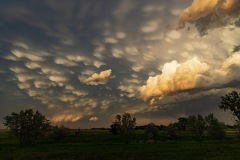 Mammatus over the Prairie