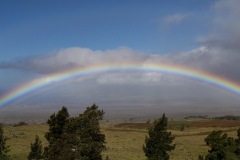 Rainbow-Hawaii