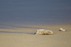 Rock on Beach