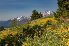 Tetons