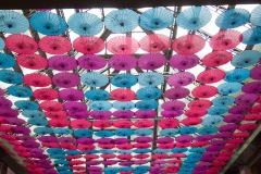 Umbrella Art