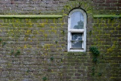 Window and Moss