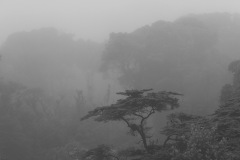 Poas-Volcanic-National-Park_Poas_Costa-Rica_IMG_1289