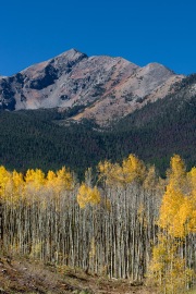 Fall-Aspen-Peak-One