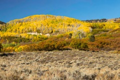 Aspen, Cimarron Ridge