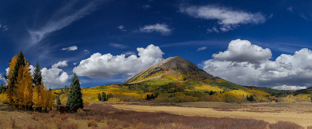 aspens and mountain