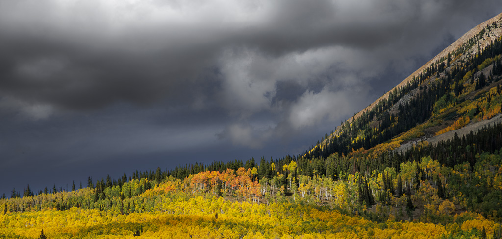 aspen and clouds